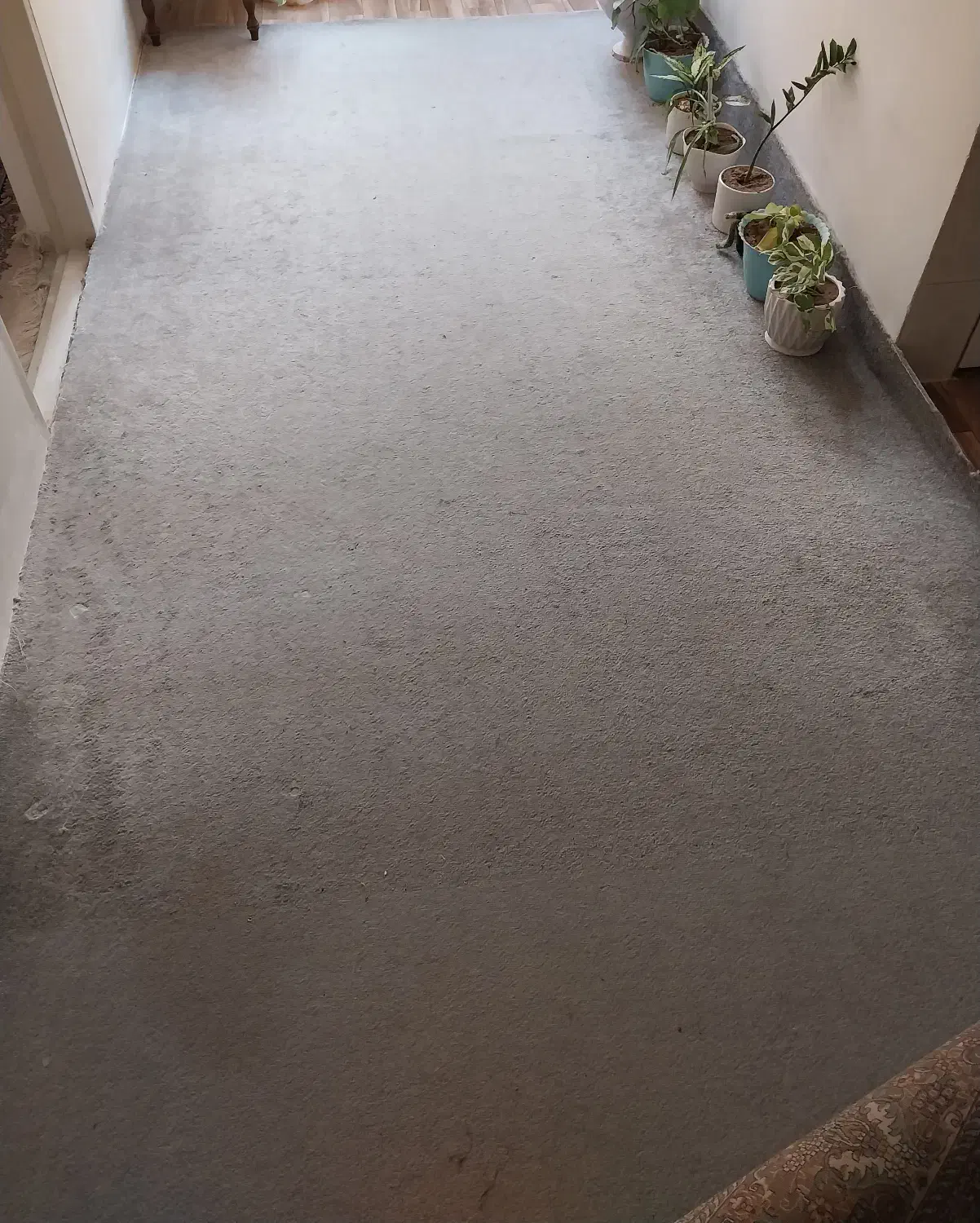 پالاز موکت|موکت|نیشابور, شهرک بسیج|دیوار