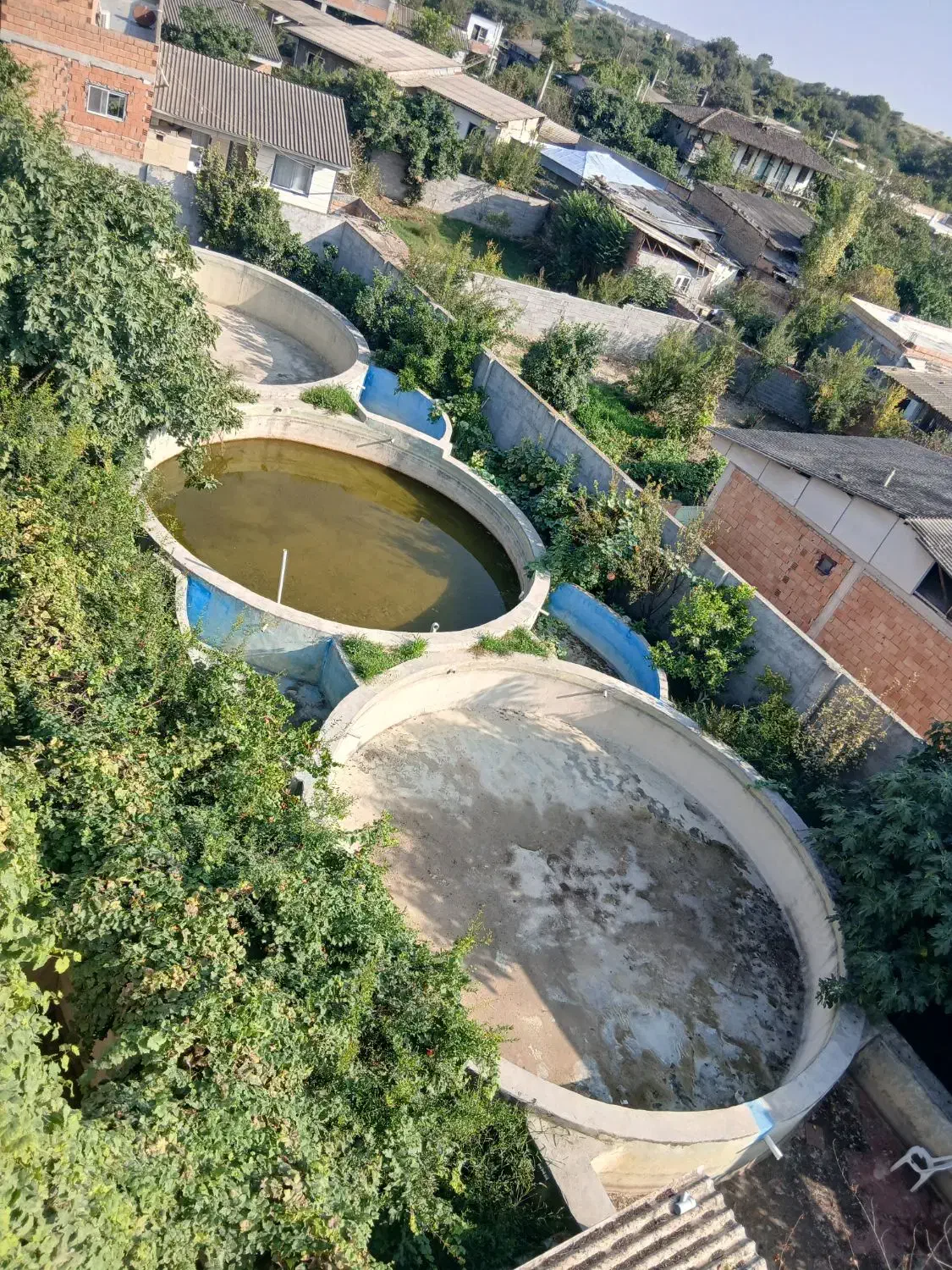 پرورش ماهی|استخدام صنعتی، فنی، مهندسی|کردکوی, |دیوار