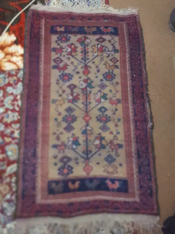 قالیچه دست بافت|فرش|بیرجند, |دیوار