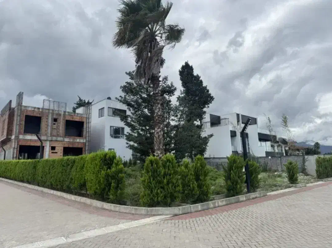 مجموعه ویلایی/جواز و سند/ویو جنگل/شرایطی|فروش زمین و ملک کلنگی|نشتارود, |دیوار