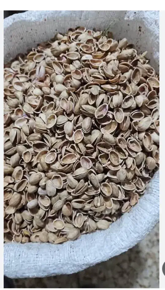 پوست پسته|خدمات باغبانی و درختکاری|اردکان, |دیوار