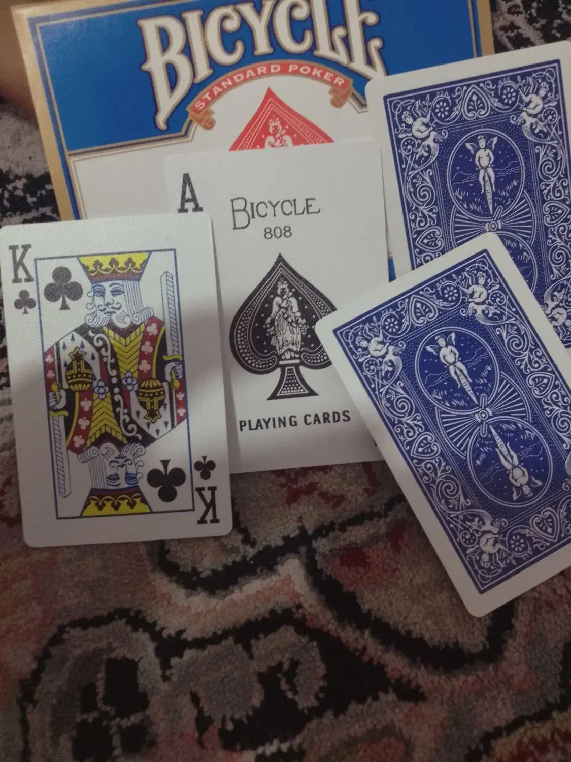 پاستور روغنی|کلکسیون و سرگرمی|تربت جام, میان جام|دیوار