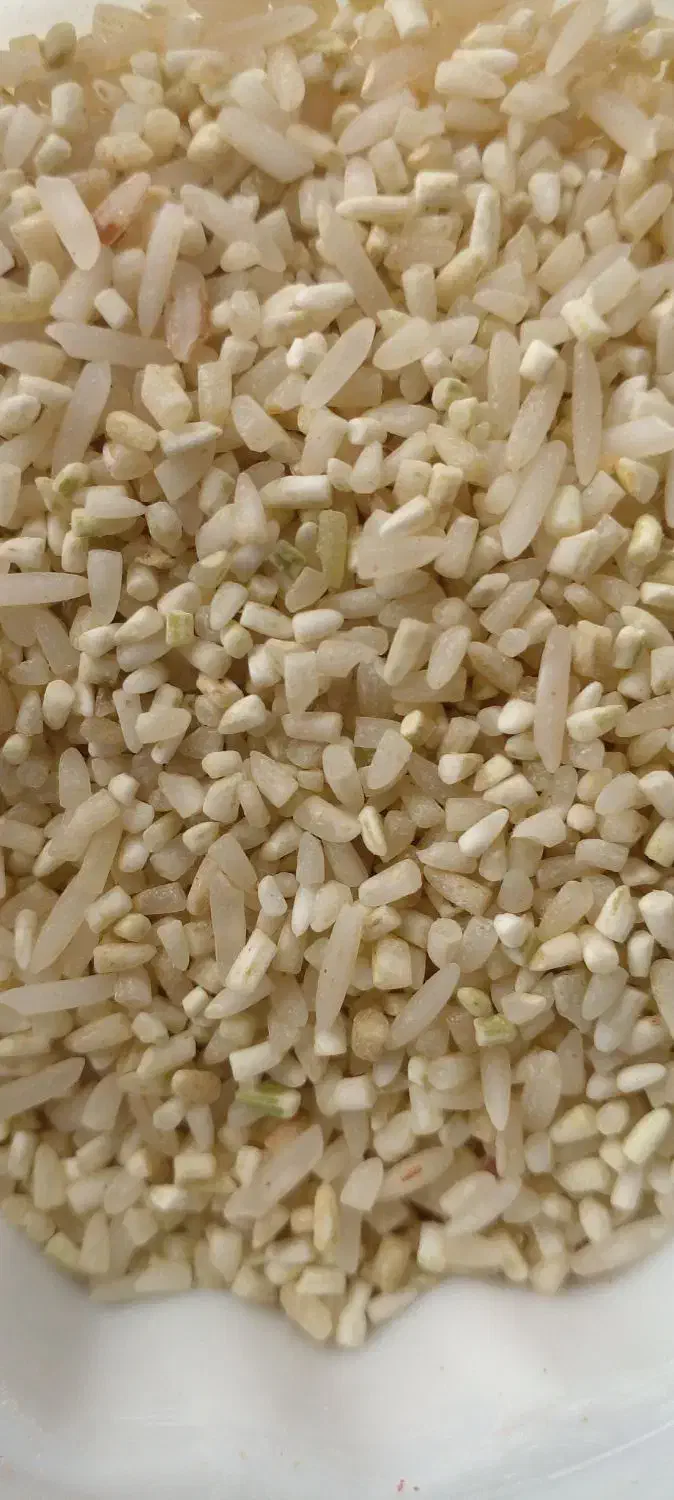 برنج ایرانی. شیروان چرداول|خوردنی و آشامیدنی|اسلامآباد غرب, |دیوار