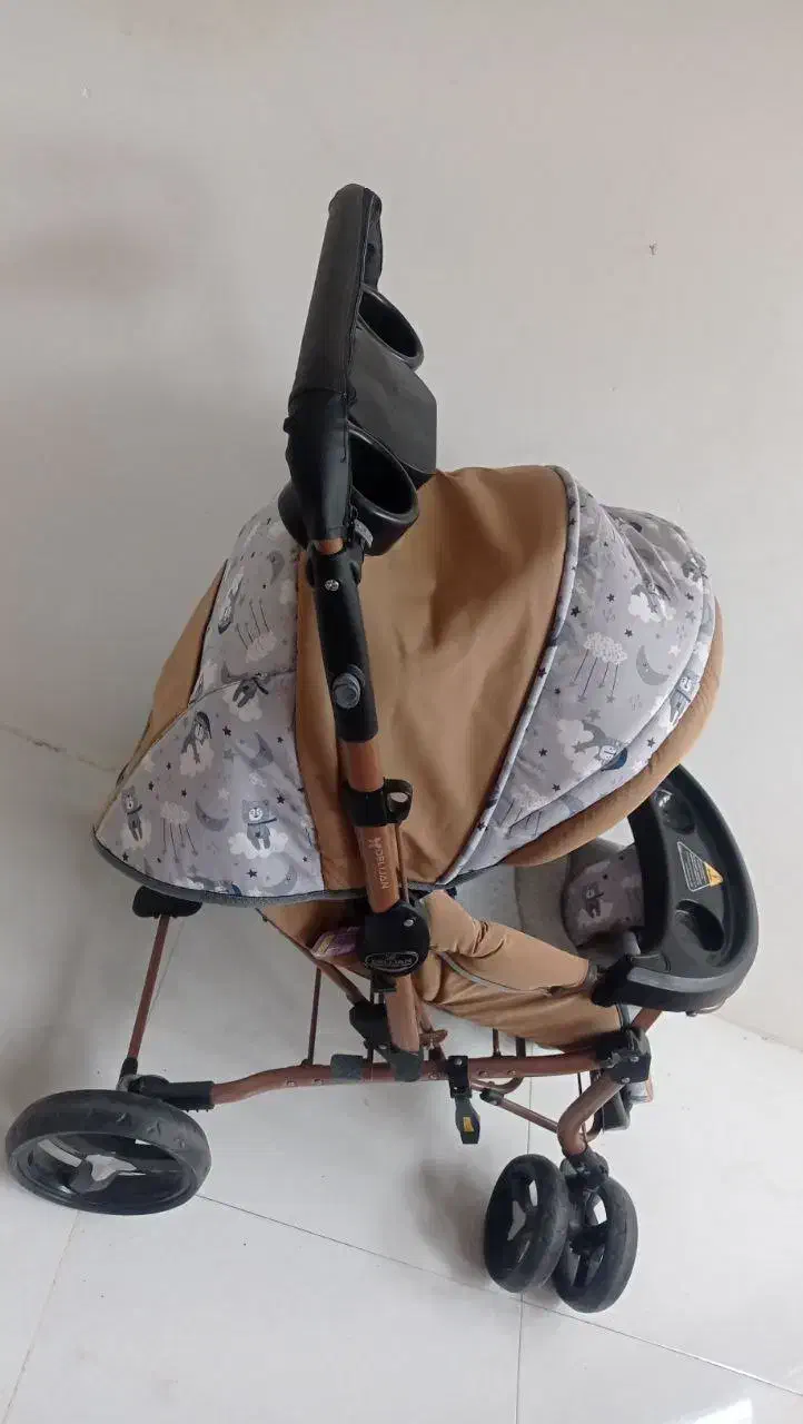 کالسکه دلیجان|کالسکه و لوازم جانبی|کرمان, |دیوار