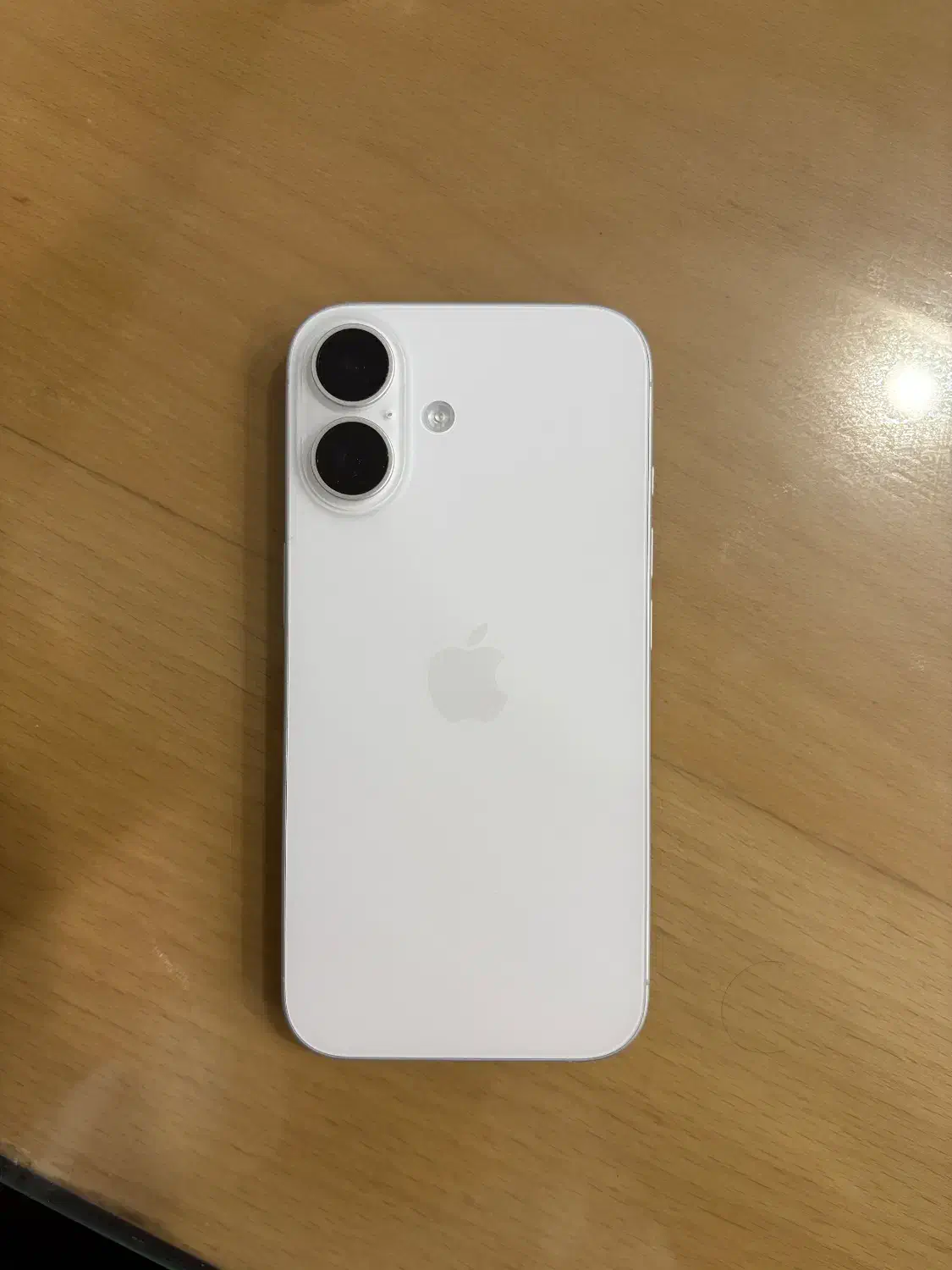 iPhone 16 - 128 GB - CH|موبایل|تهران, زعفرانیه|دیوار