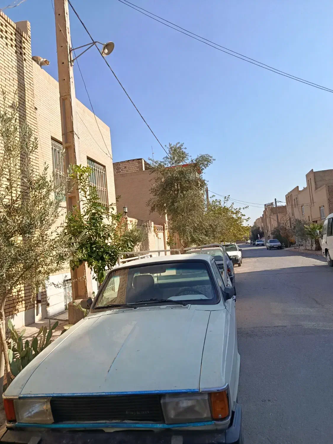 وانت بار.شبانه روزی|خدمات حمل و نقل|یزد, |دیوار