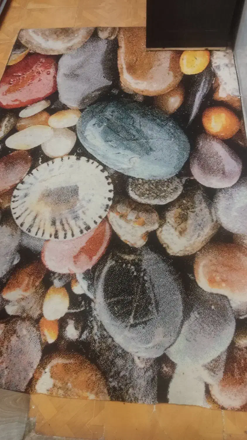 فرش آشپزخانه|فرش|گلستان (تهران), |دیوار