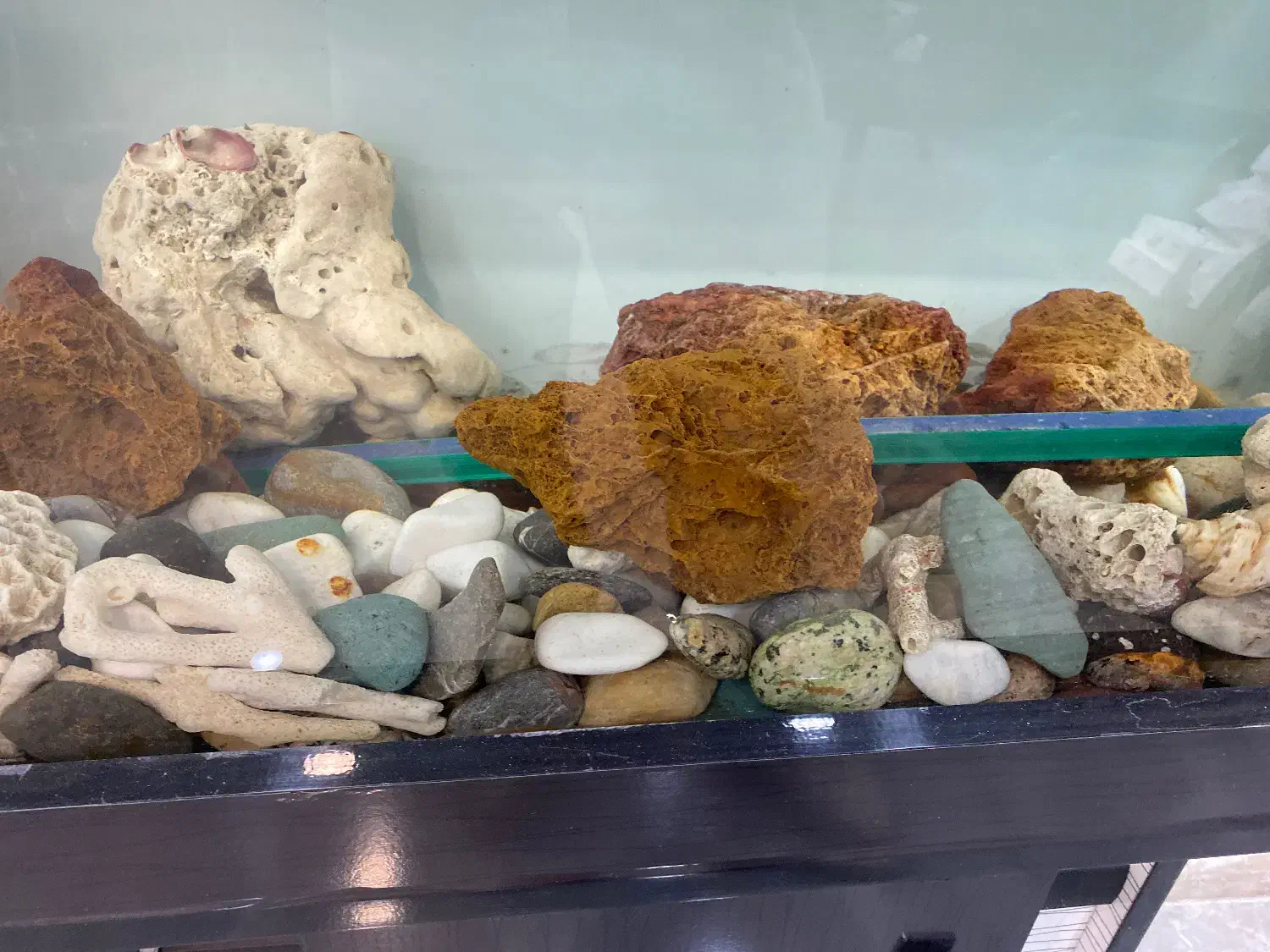 اکواریوم با تمام وسایل|ماهی|تهران, بنی‌هاشم|دیوار