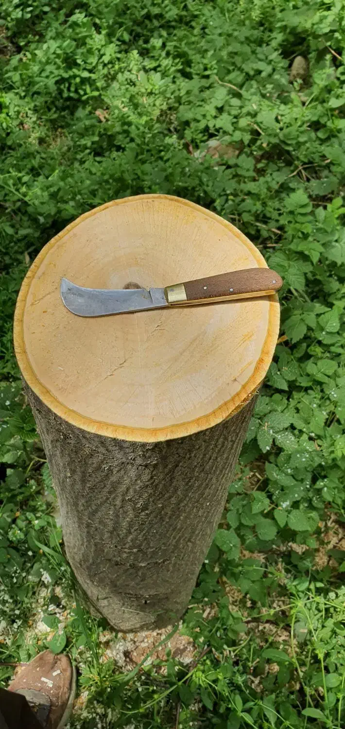 پیوند و هرس درختان|خدمات باغبانی و درختکاری|دماوند, دماوند|دیوار