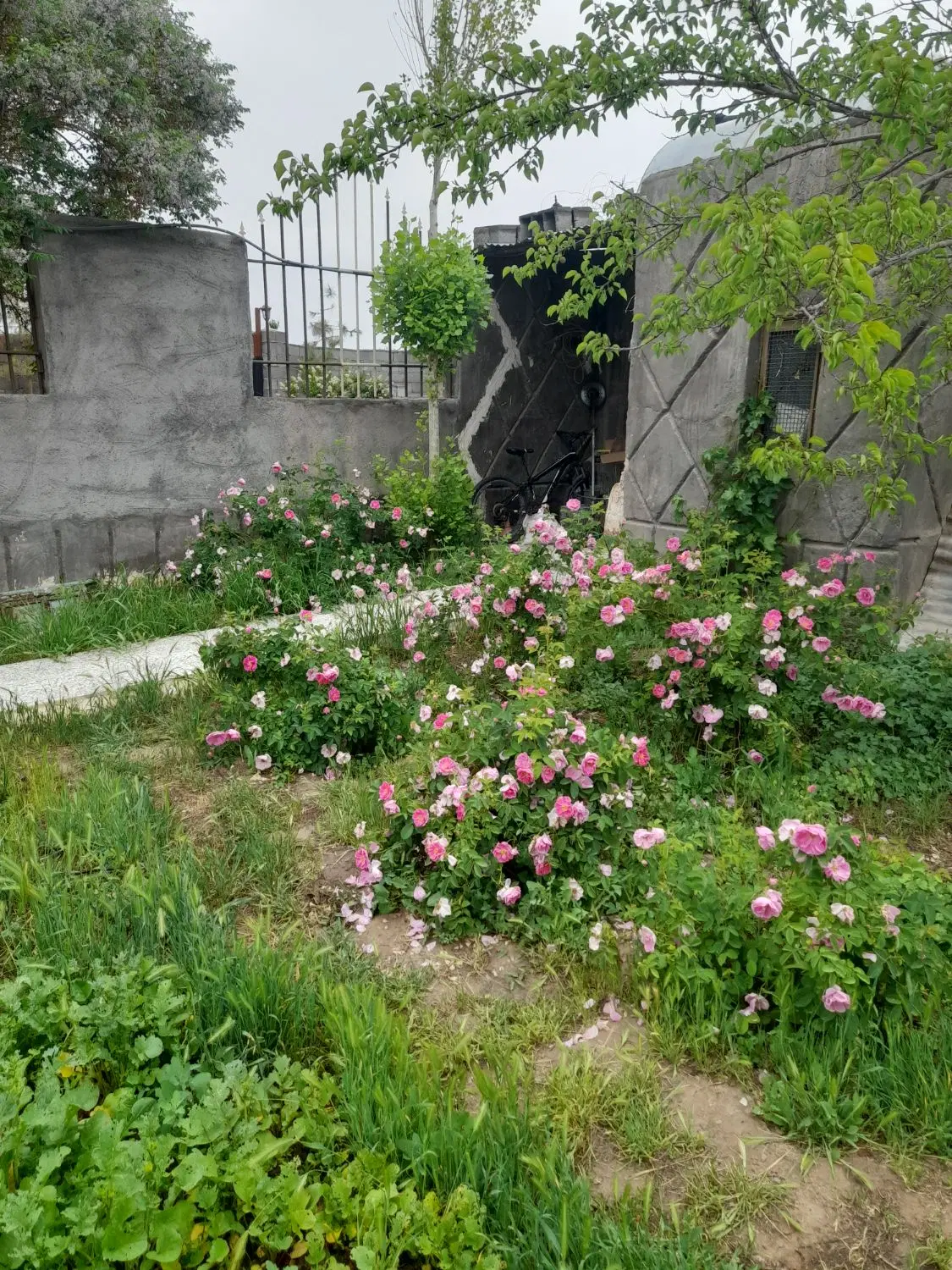 تصویر 3