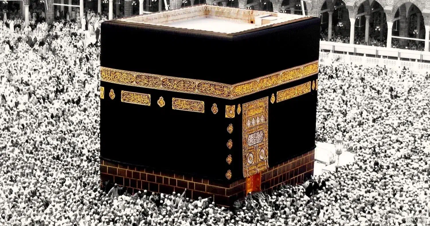 حج واجب|تور و چارتر|سبزوار, شهدا|دیوار