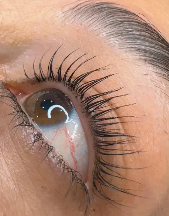 آموزش خدمات کوتاهی آموزش لیفت لمینت مژه یک میلیونی|خدمات آموزشی|دورود, |دیوار