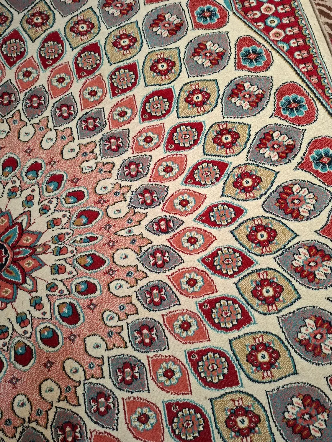 ۲عدد فرش ۶متری تمیز و سالم|فرش|نوشهر, |دیوار