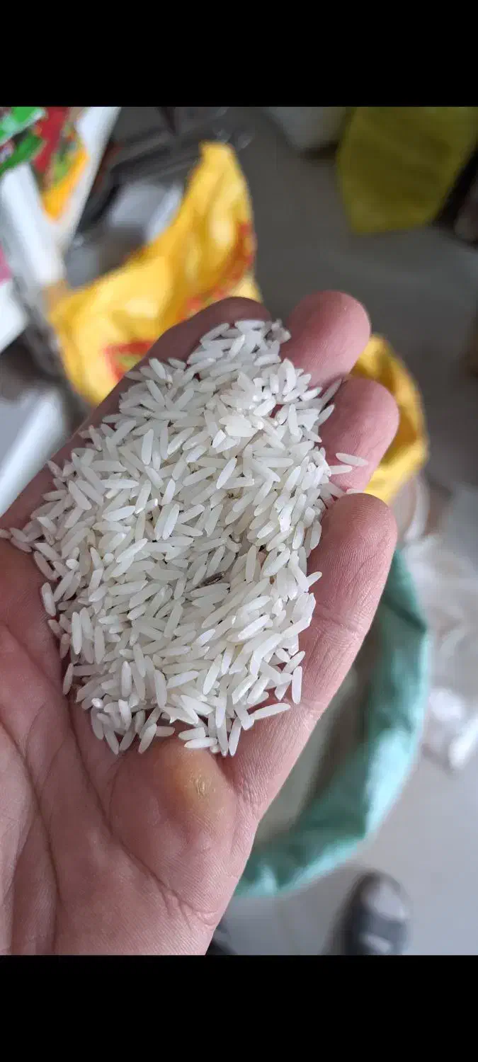 طارم محلی فریدونکنار|خوردنی و آشامیدنی|آمل, |دیوار