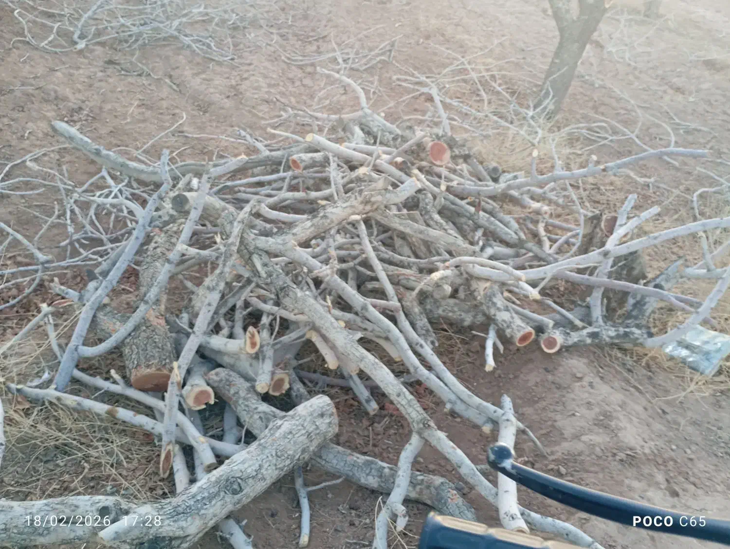 چوب فروشی|عمده‌فروشی|زرند, |دیوار