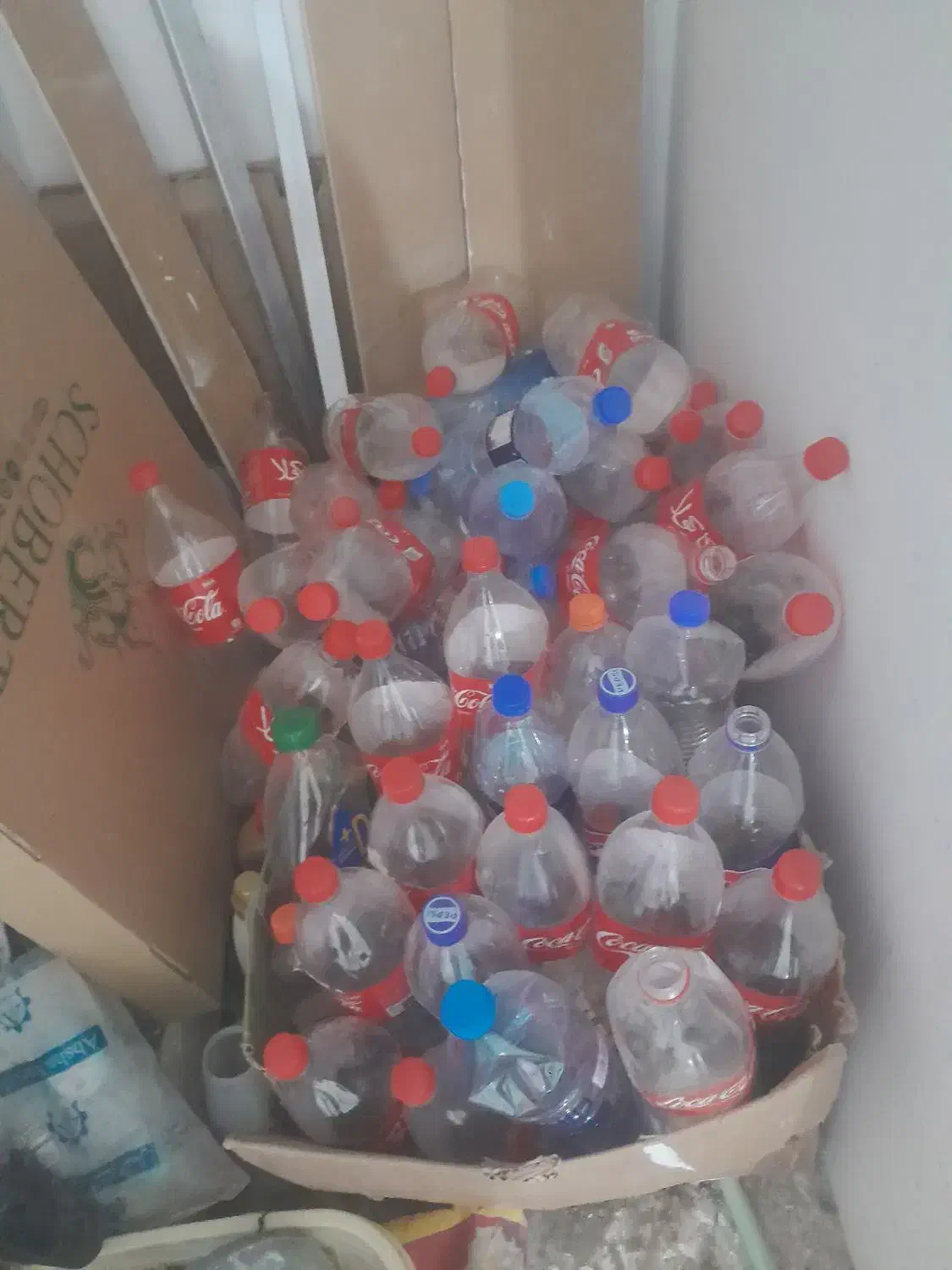 قوطی خالی نوشابه|ظروف نگهدارنده، پلاستیکی، یک‌بارمصرف|بجنورد, |دیوار