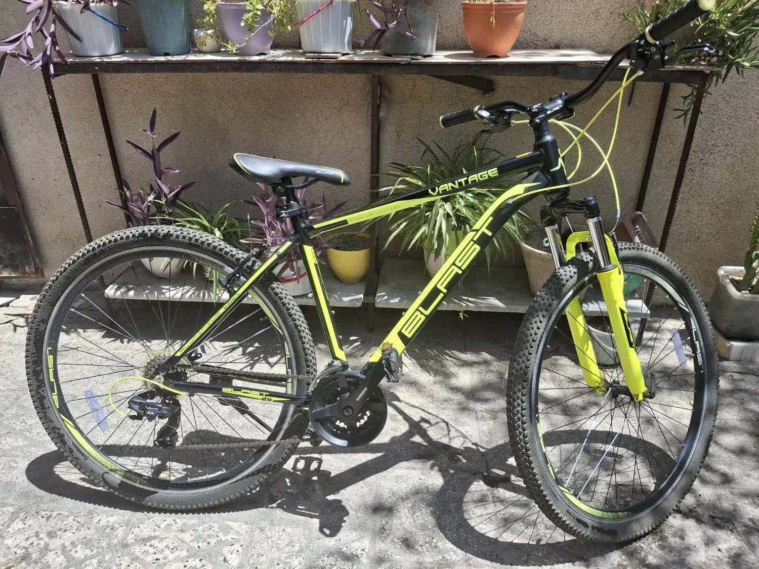 دوچرخه بلست سایز 29|دوچرخه، اسکیت، اسکوتر|تهران, امام زاده عبدالله|دیوار