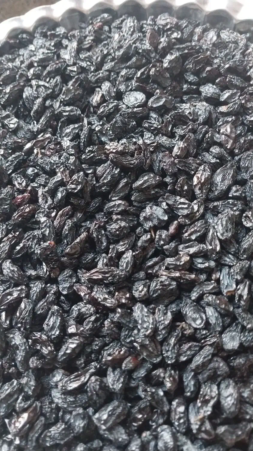 کشمش آفتابی و مویز تاکستان|خوردنی و آشامیدنی|تهران, خلیج فارس|دیوار