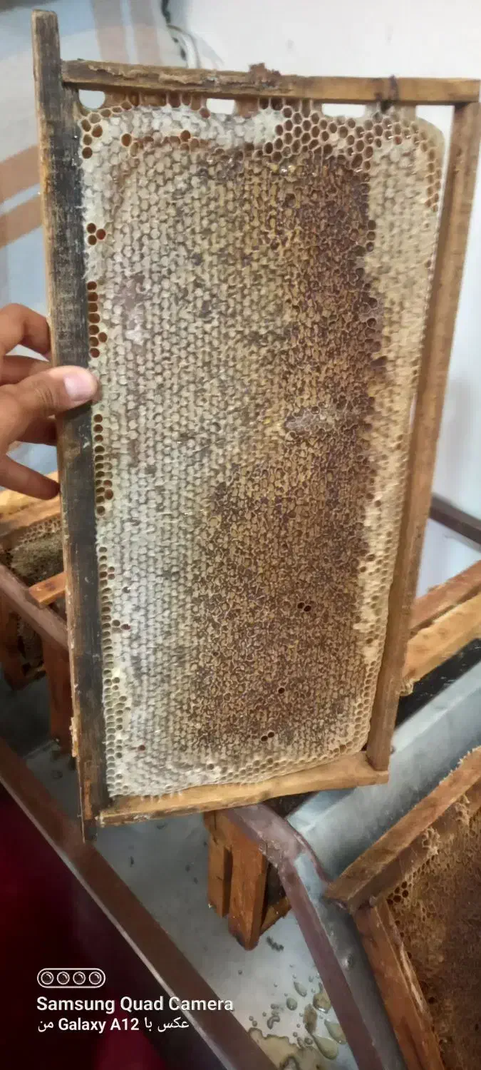 عسل طبیعی|خوردنی و آشامیدنی|مرودشت, مجد آباد|دیوار