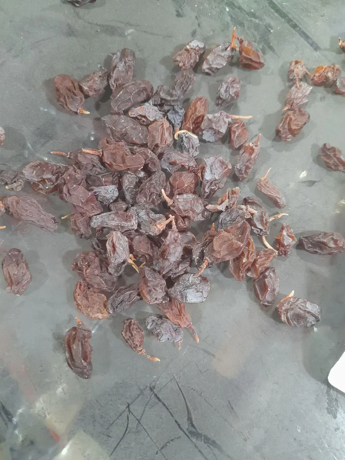 مویز افتابی|خوردنی و آشامیدنی|شیراز, کوزه گری|دیوار
