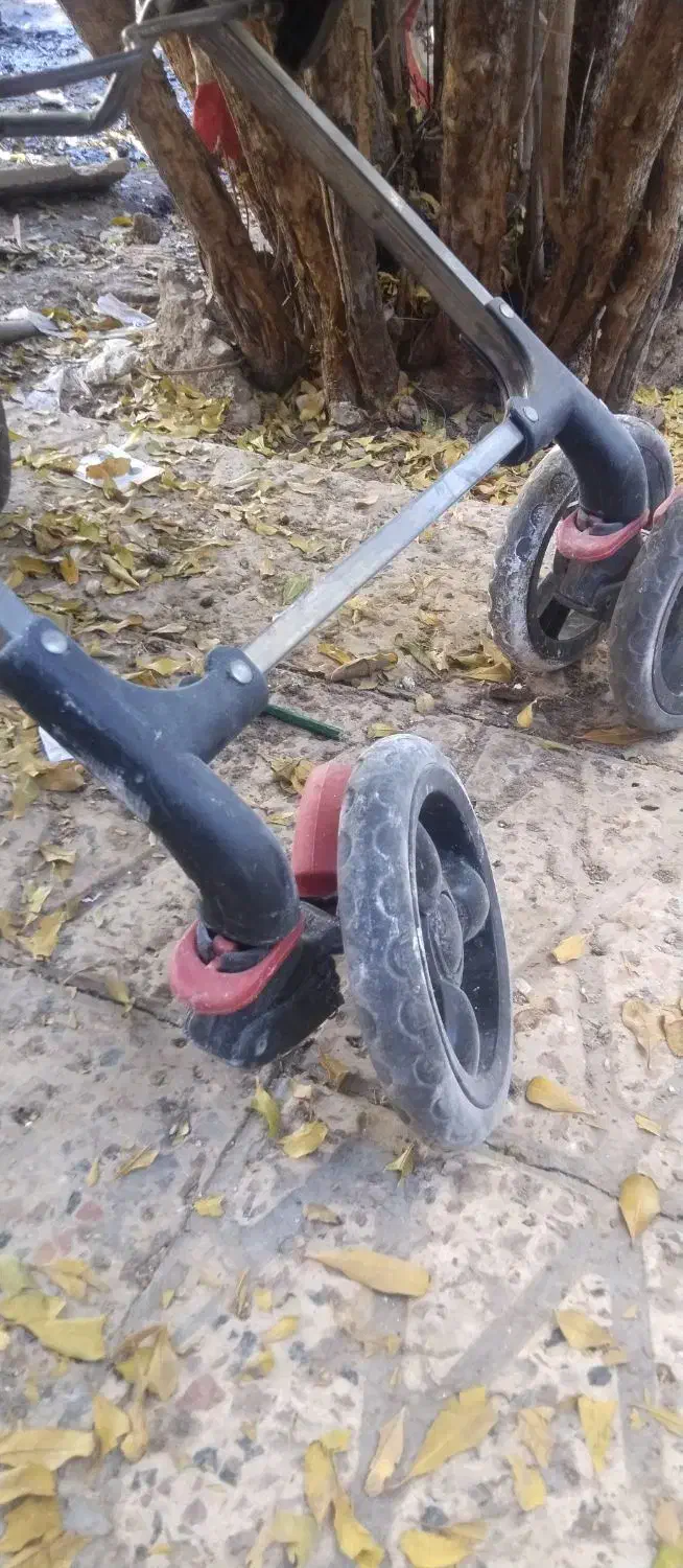 کالسکه|کالسکه و لوازم جانبی|قائن, |دیوار