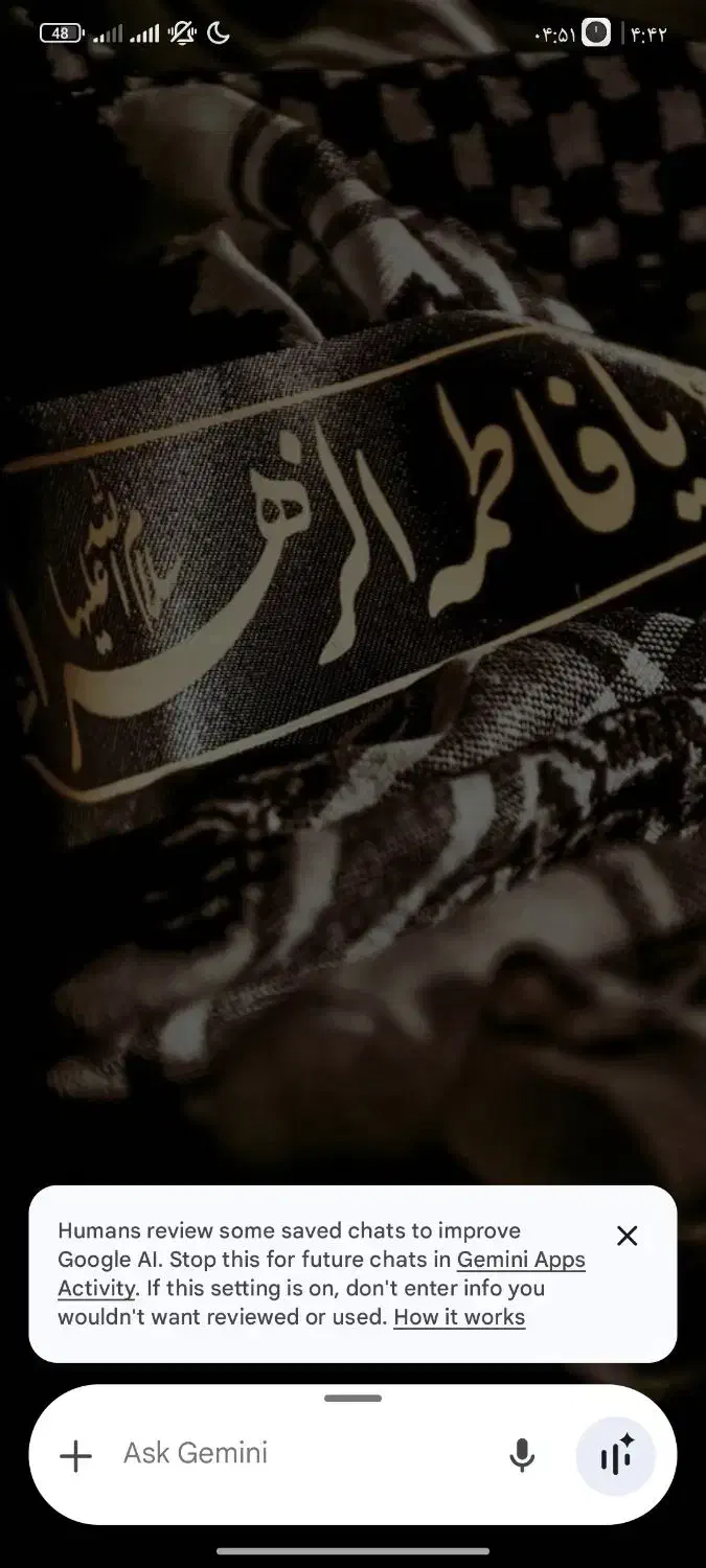 راهنمایی فوری|فعالیت داوطلبانه|تربت‌حیدریه, بوستان باغ ملی|دیوار