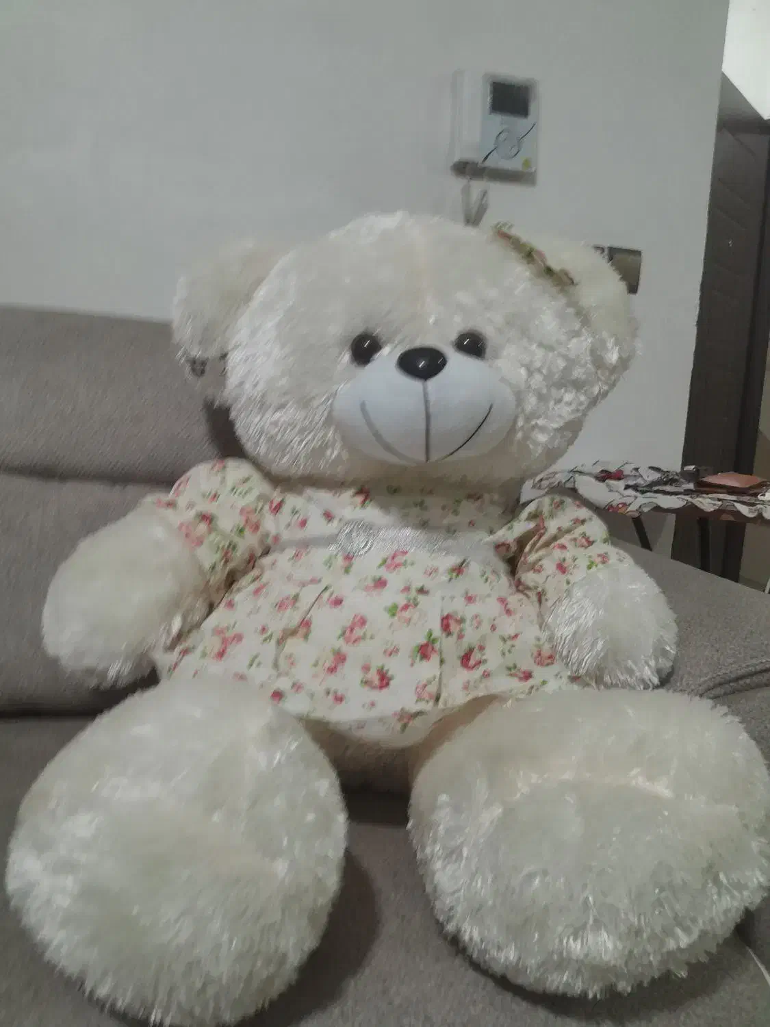 یک عدد خرس بازی نو مناسب|اسباب‌بازی بچه|صفادشت, |دیوار