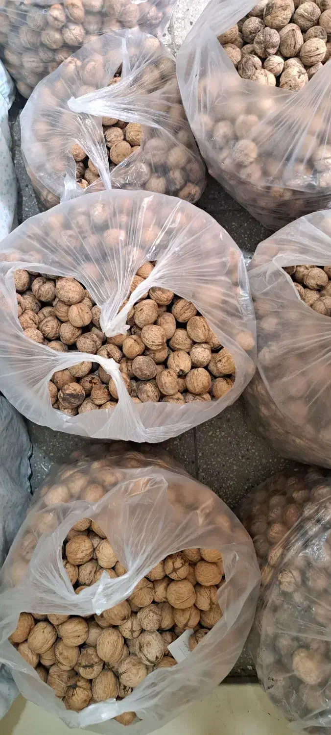 گردو|خوردنی و آشامیدنی|تهران, آهنگ|دیوار
