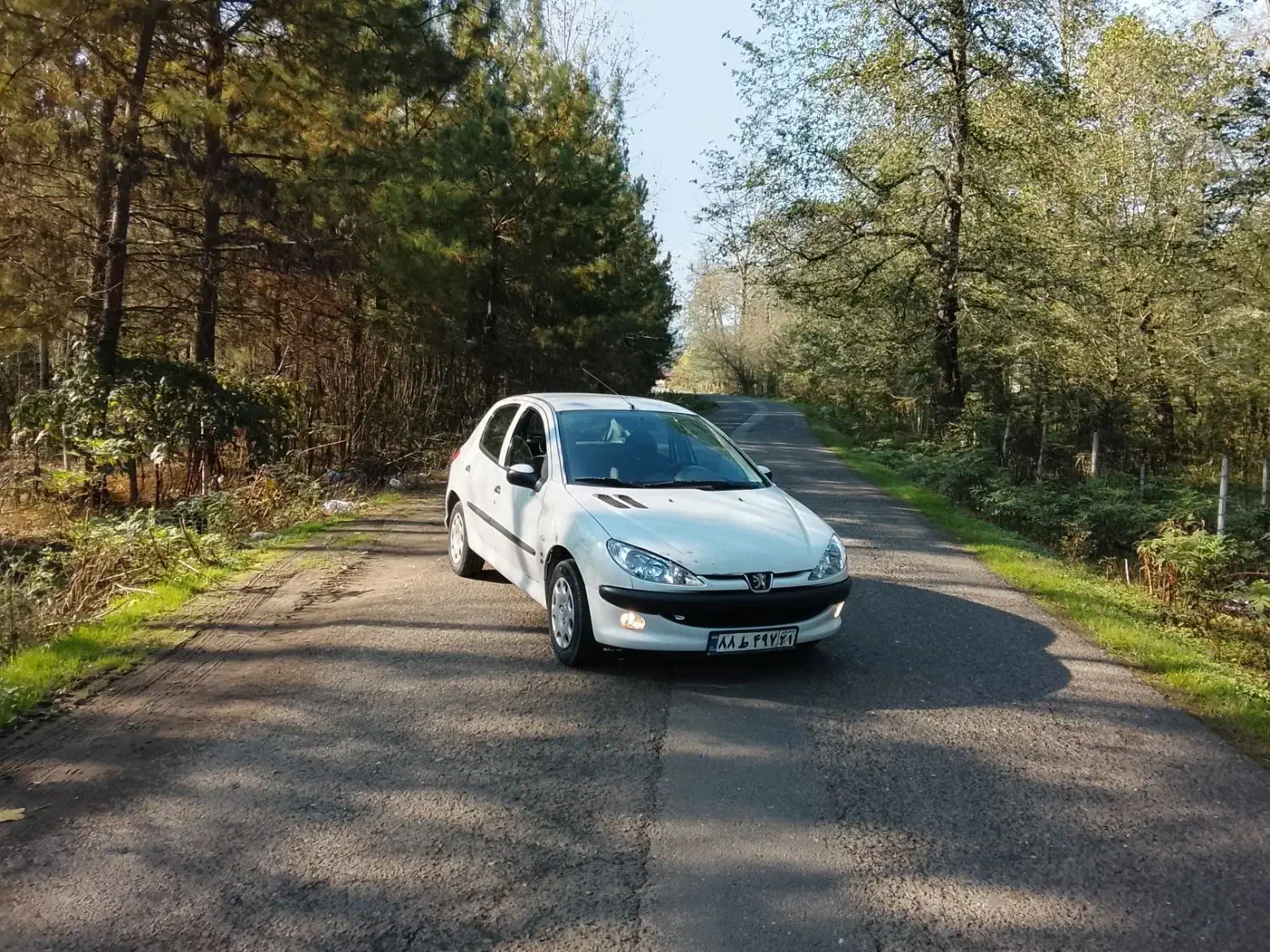 206مدل89|خودرو سواری و وانت|تالش, هشتپر|دیوار