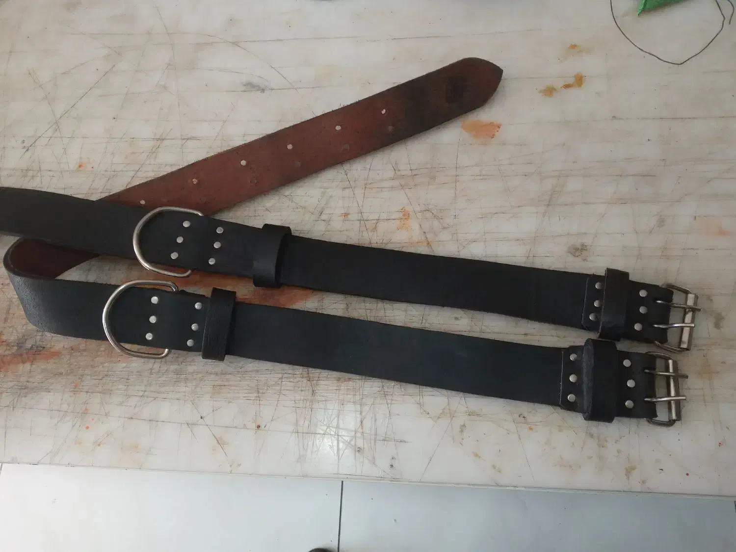 قلاده چرم|لوازم جانبی حیوانات|سراب, |دیوار