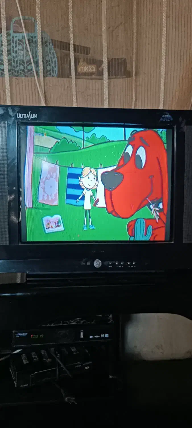 تلویزیون وگیرنده|تلویزیون و پروژکتور|زهک, |دیوار