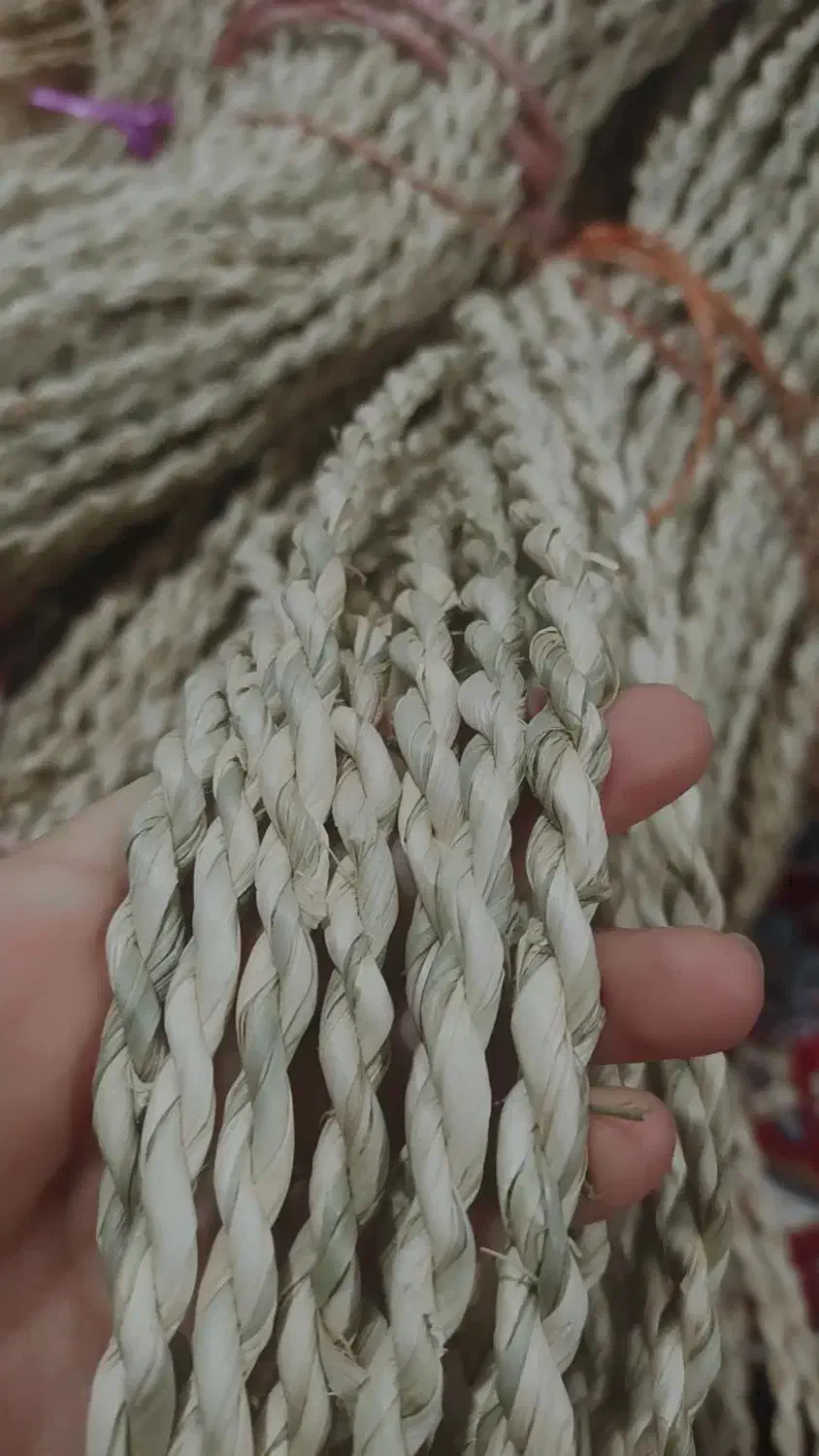 صنایع دستی حصیر|صنایع دستی و سایر لوازم تزئینی|رشت, دیانتی|دیوار