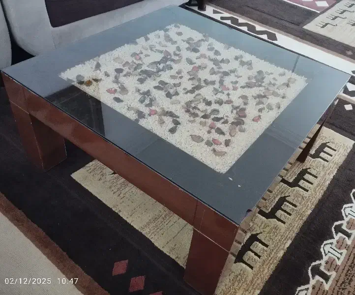 میز جلو مبلی|مبلمان خانگی و میز عسلی|گلبهار, شهر جدید گلبهار|دیوار