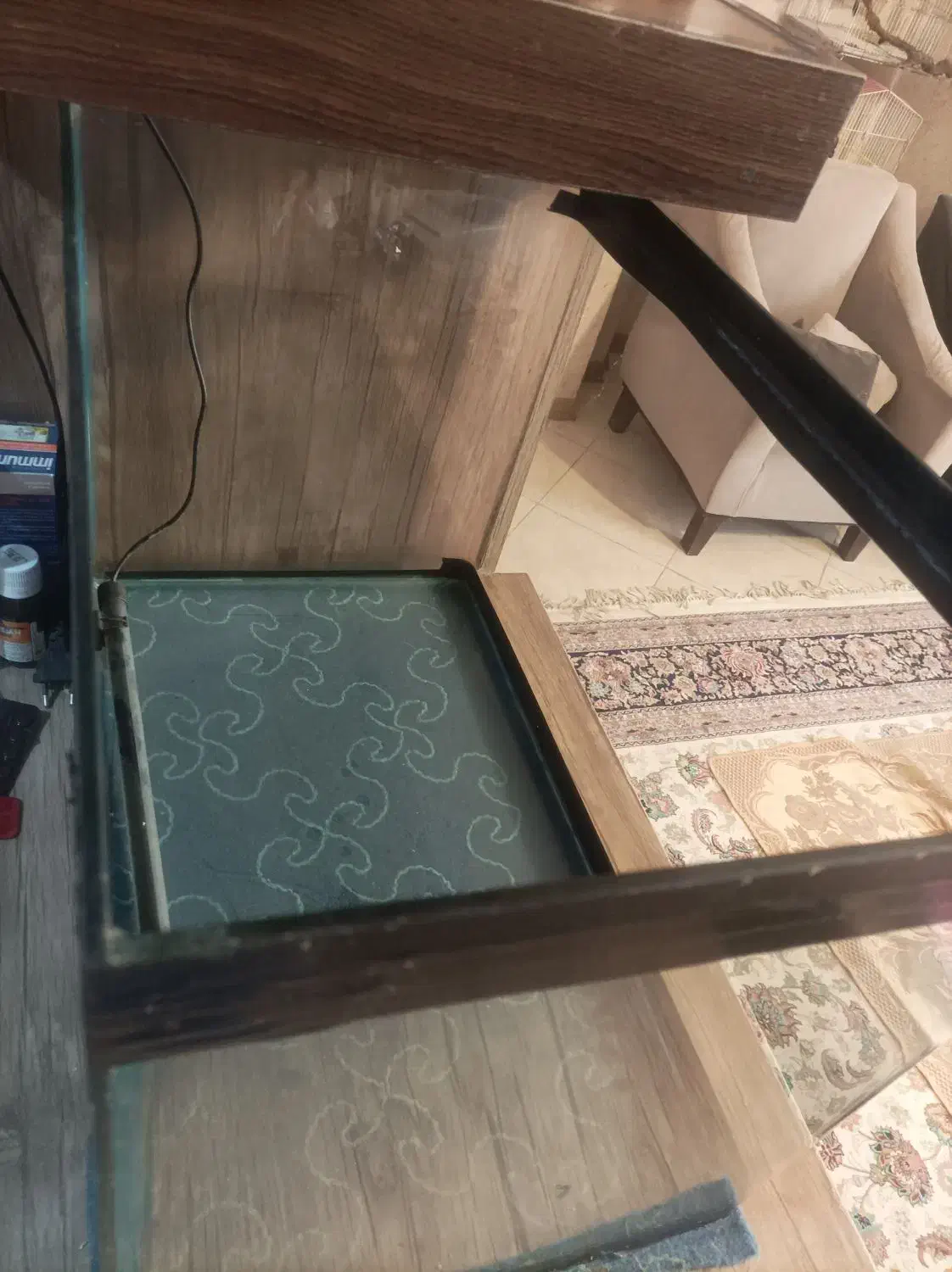 آکواریوم شرکتی|ماهی|مشهد, شاهد (شهرک غرب)|دیوار