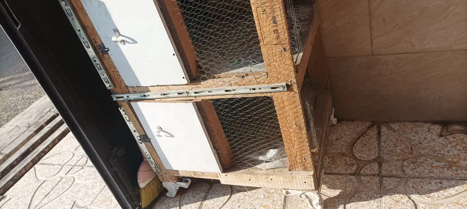 جای مرغ دو طبقه همراه سه عدد مرغ|حیوانات مزرعه|اسلام‌شهر, شهرک مهدیه|دیوار