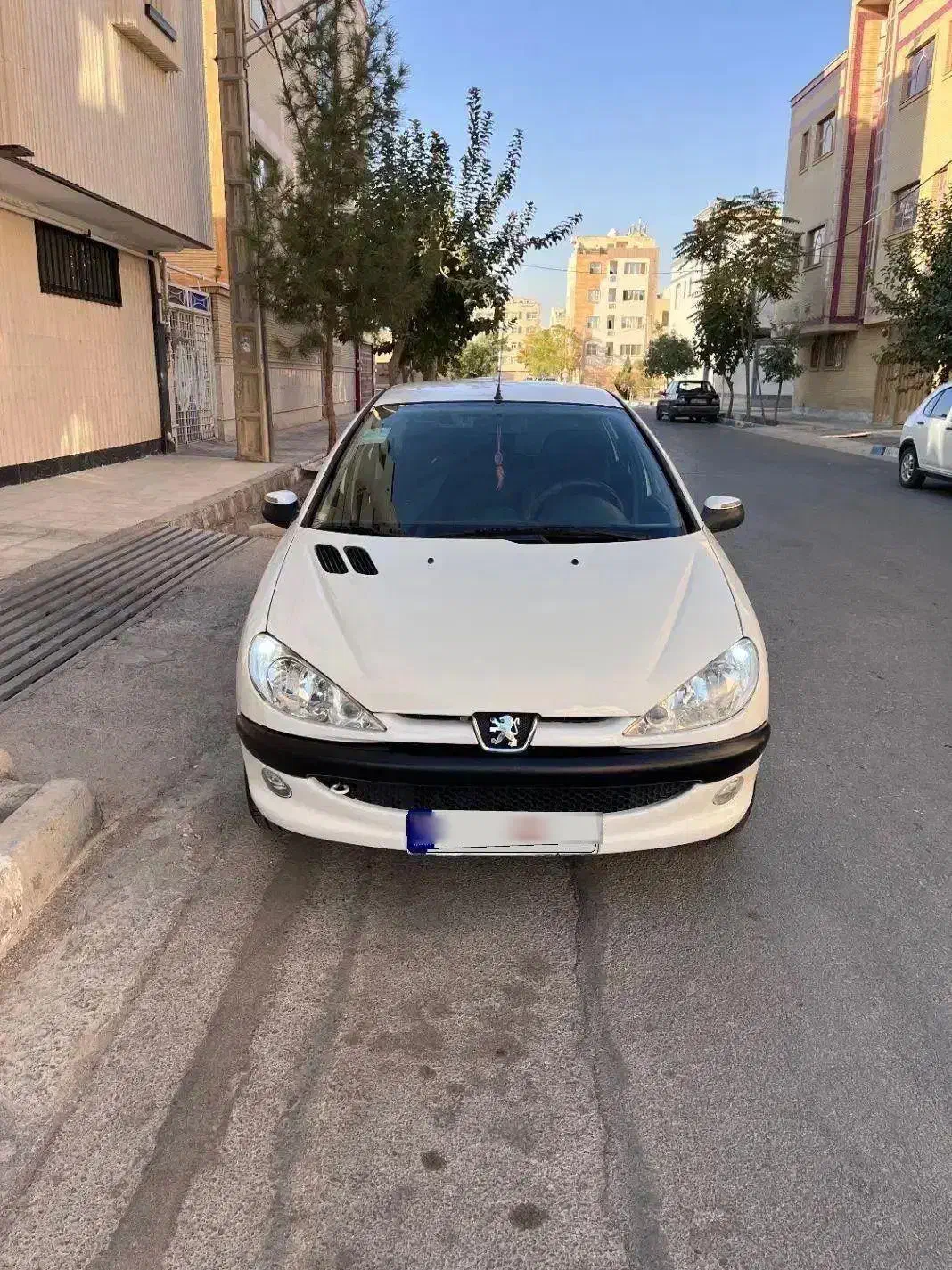 ۲۰۶ تیپ ۲ مدل ۸۹|خودرو سواری و وانت|شاهینشهر, شهرک میلاد|دیوار