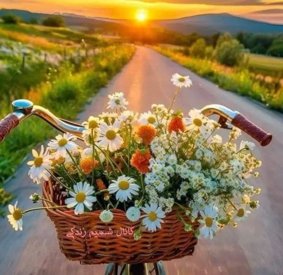 وام ازدواج|فعالیت داوطلبانه|زرند, |دیوار