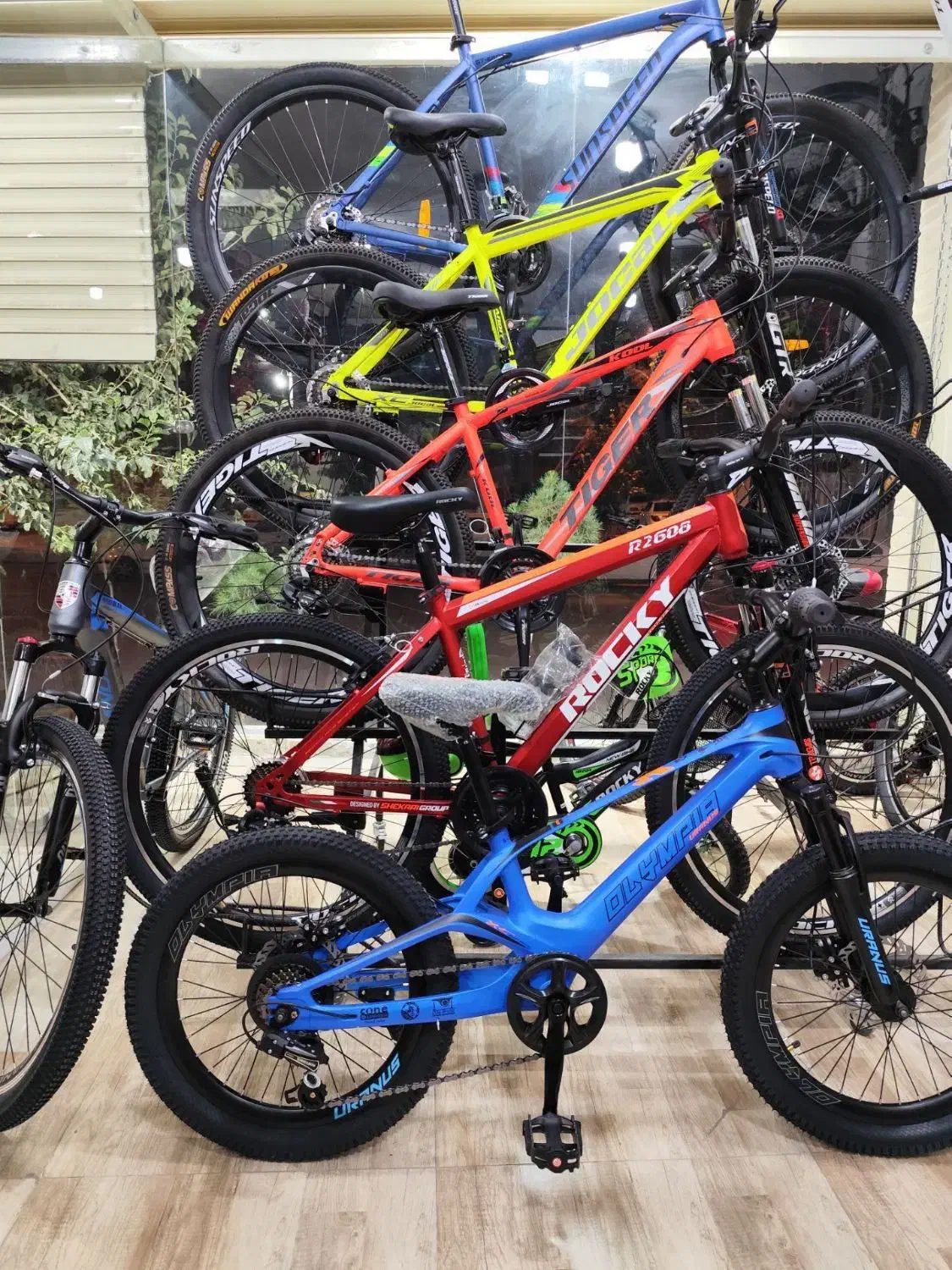 دوچرخه مسابقهای&اقساطی فروشگاه امپراطورتخفیف یلدا|دوچرخه، اسکیت، اسکوتر|سیرجان, |دیوار