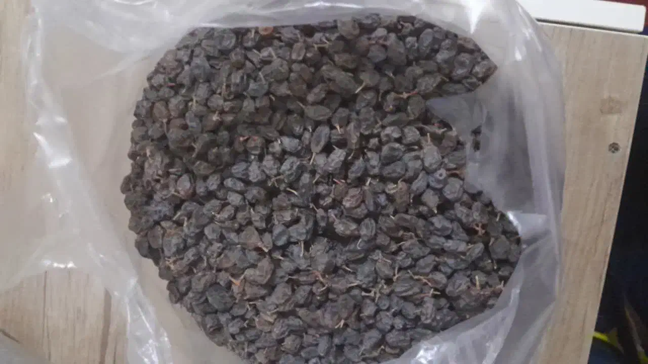 کشمش پلویی|خوردنی و آشامیدنی|قلقل رود, |دیوار