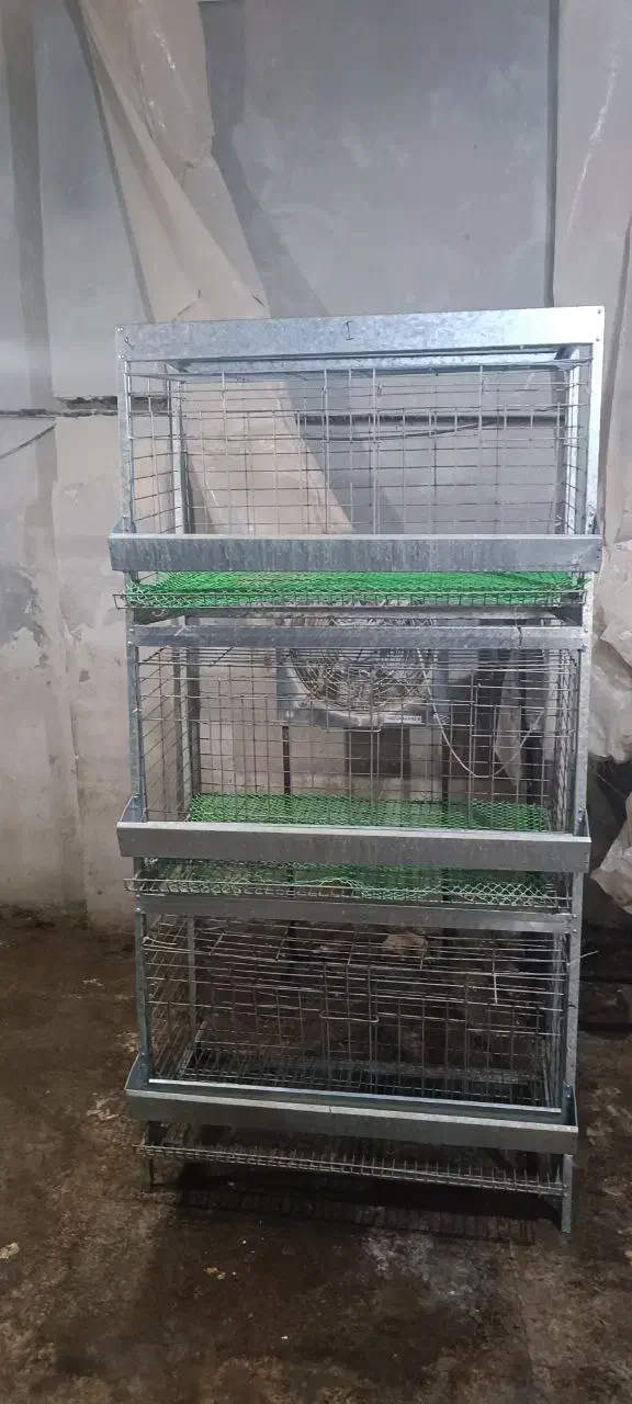 قفس مرغ تخم گذار|لوازم جانبی حیوانات|تهران, شهرک رضویه|دیوار