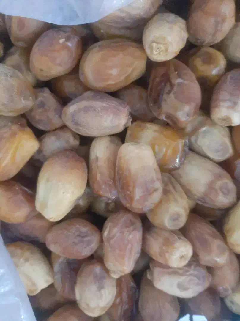 خرمای قصب|عمده‌فروشی|داراب, |دیوار