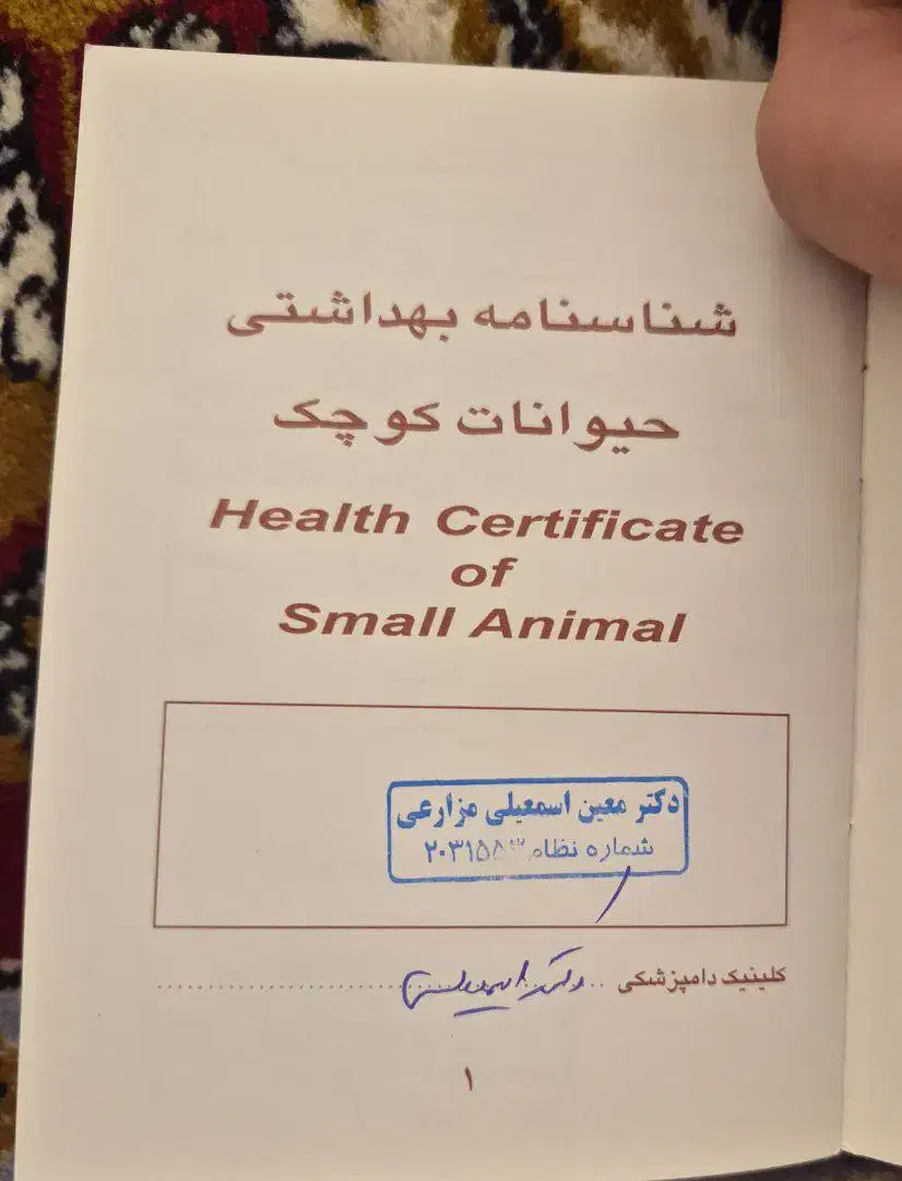 سگ فروشی|سگ|نیشابور, مدرس|دیوار