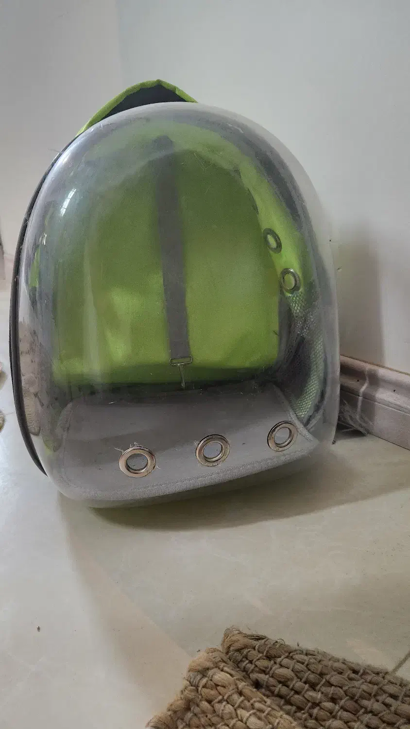 کوله حمل حیوانات|لوازم جانبی حیوانات|مشهد, آبادگران|دیوار