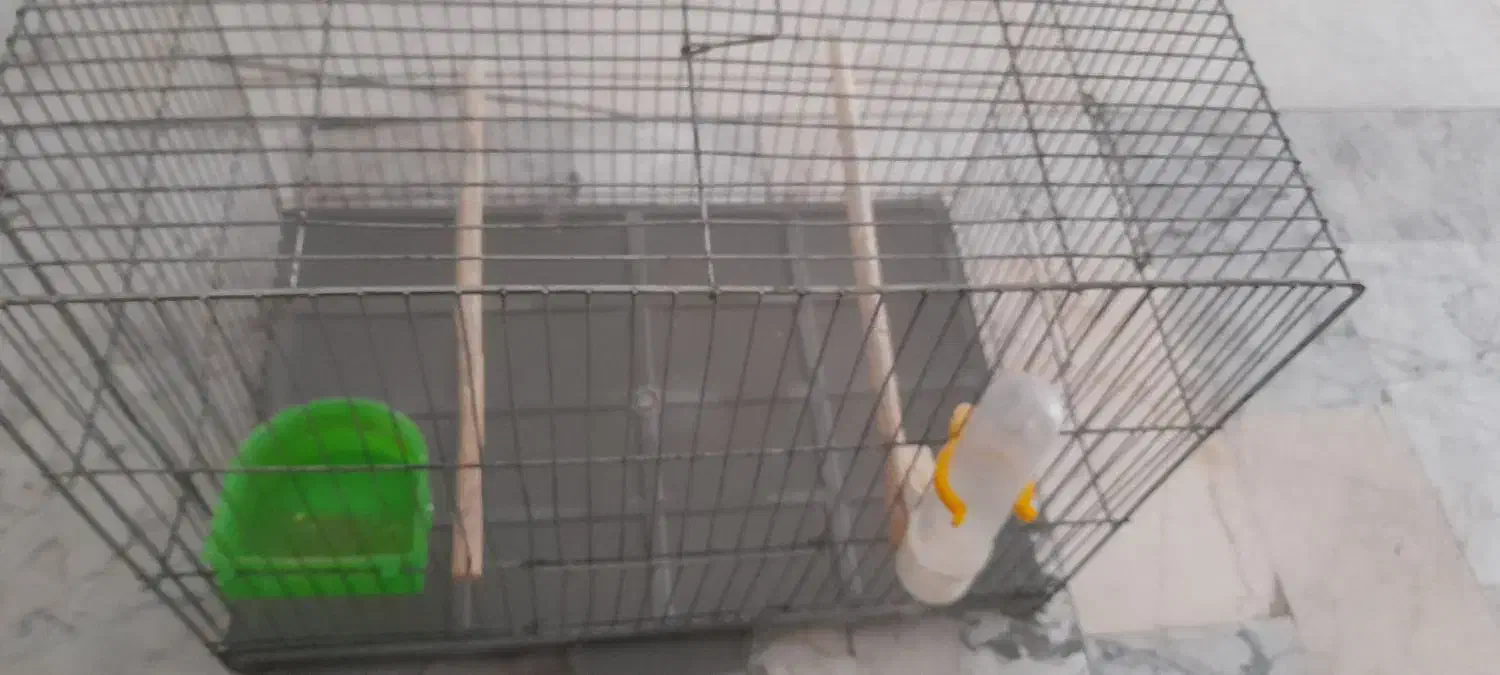 قفس پرنده|لوازم جانبی حیوانات|فردیس, فردیس|دیوار