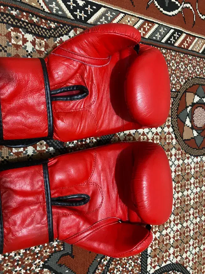 دستکش بوکس|تجهیزات ورزشی|کرج, حسین آباد (اکبر آباد)|دیوار