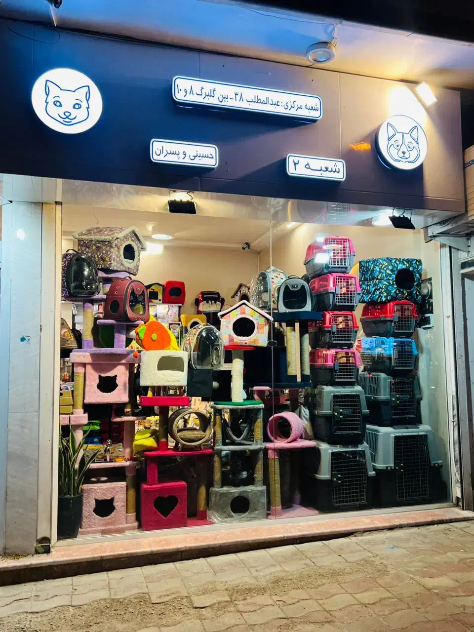 باکس پت همه سایز و برند پت شاپ مشهد|لوازم جانبی حیوانات|مشهد, گلبرگ|دیوار