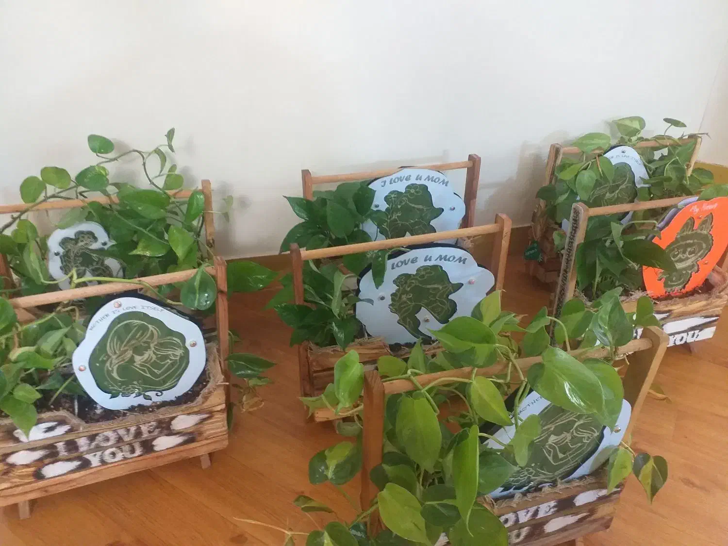 ست باکس گل طبیعی مناسب روز مادر|گل و گیاه طبیعی|ساری, |دیوار