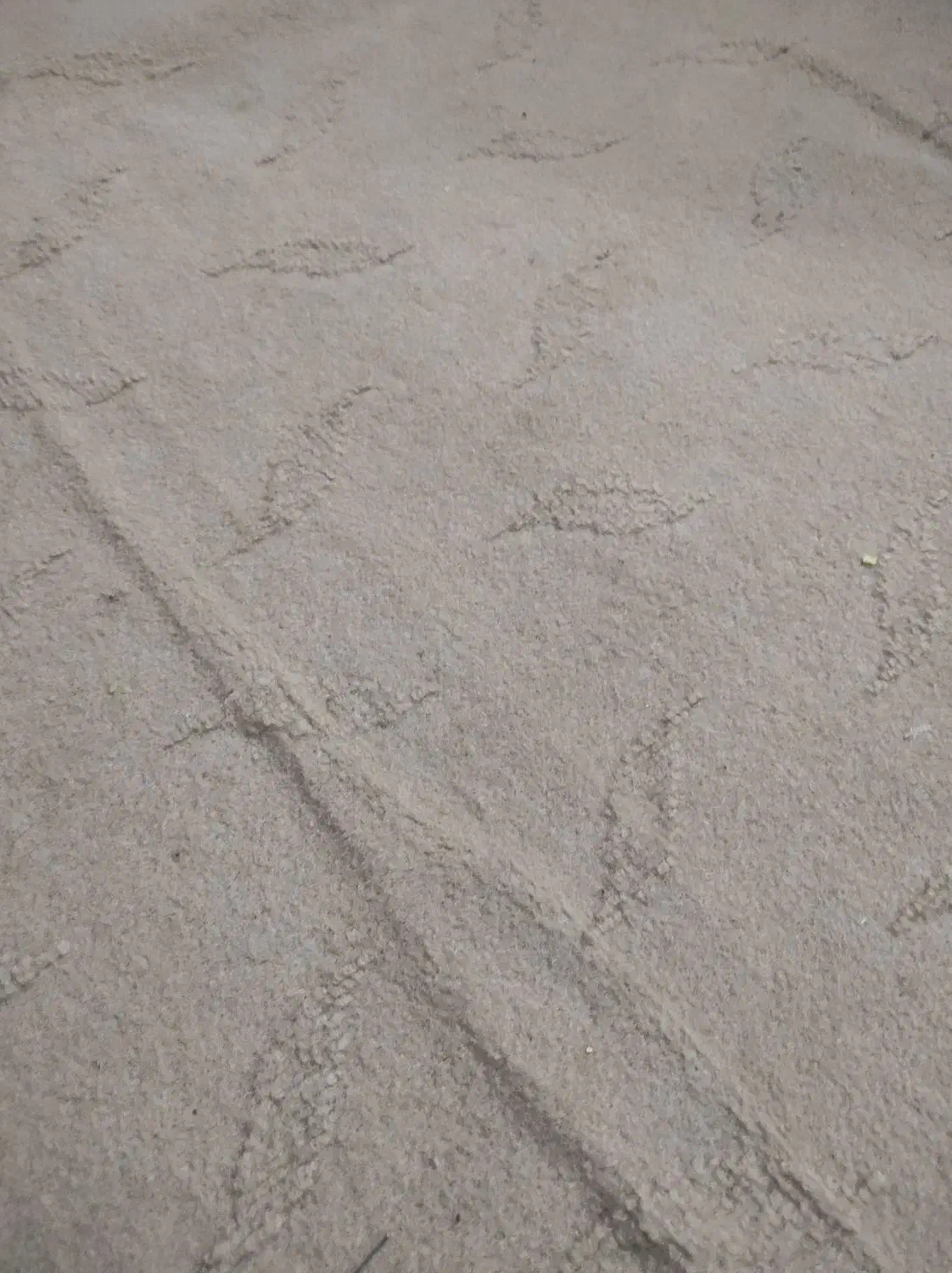 موکت|موکت|کارون, |دیوار