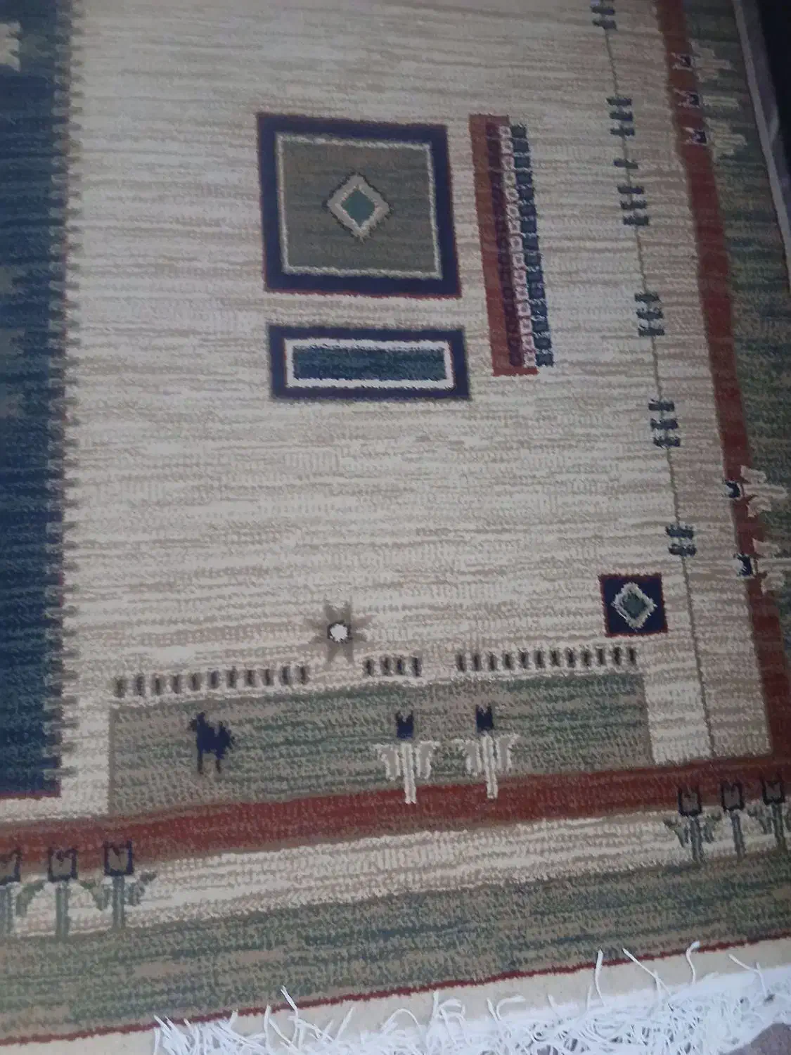 فرش ۶ متری|فرش|بندرعباس, |دیوار