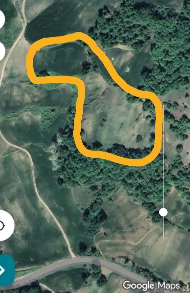 واگذاری یک هکتار زمین کشاورزی|فروش زمین و ملک کلنگی|گالیکش, |دیوار